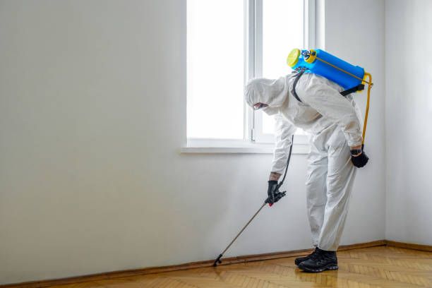 Best Pest Removal Services  in Casa Grande, AZ