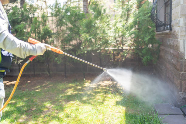 Pest Control Cost in Casa Grande, AZ